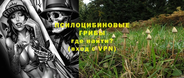 дмт Алексин