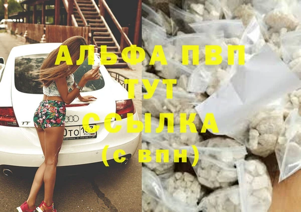 дмт Алексин