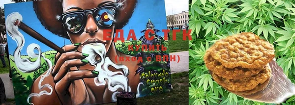дмт Алексин