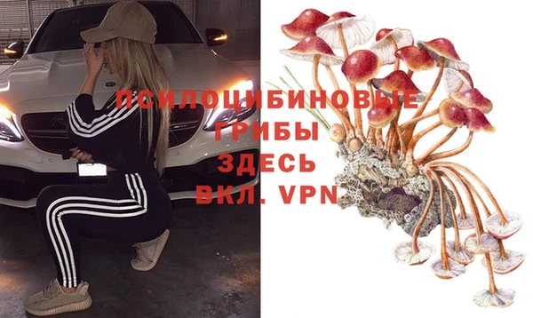 дмт Алексин