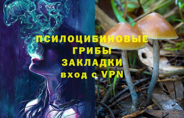COCAINE Алексеевка
